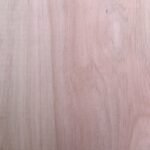 Conjunto (Pack) 6 placas Eucalipto 4mm 600x400